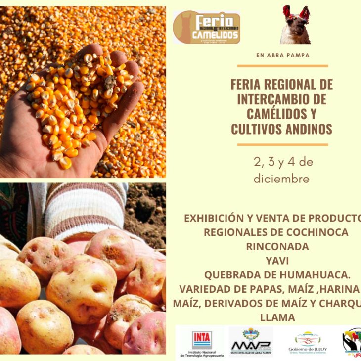 Feria de Intercambio de Camélidos y Cultivos Andinos