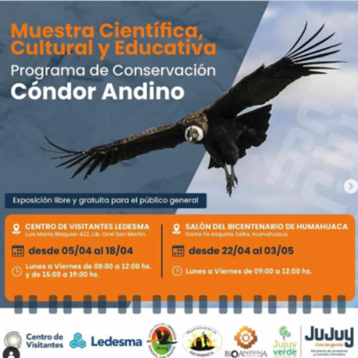 Muestra «Programa de conservación Cóndor Andino» – LGSM