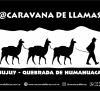 CARAVANA DE LLAMAS