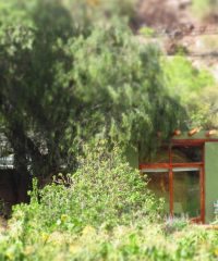 TINY ECO CABINS