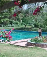 TERMAS DE CAIMANCITO