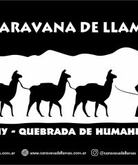 CARAVANA DE LLAMAS