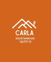 ALDERETE CARLA