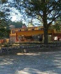 LA TARUCA